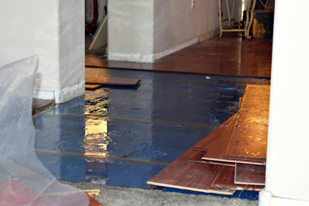 Professional Sewage Cleanup technician working in Lawrenceville, IL